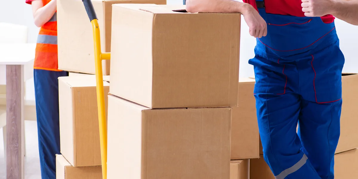 do packers and movers pack everything