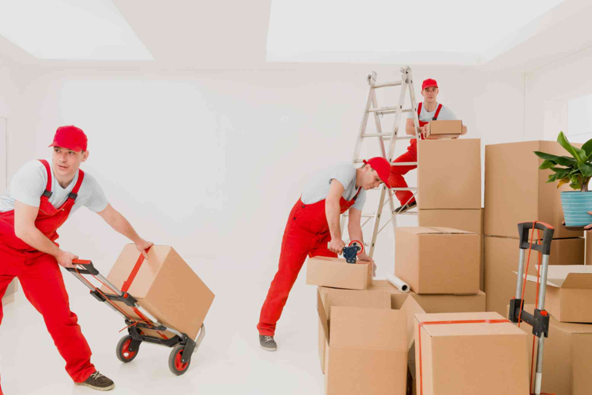 Why Movers and Packers in Dubai Are Ideal for Office Relocations.