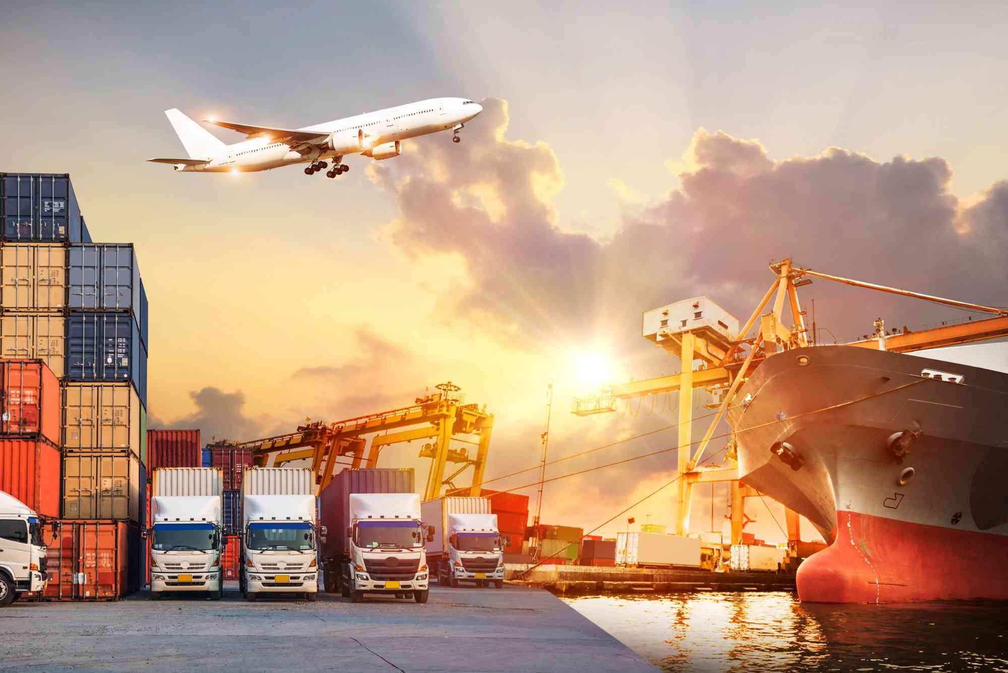 The Role of Freight Forwarding in Dubai’s Logistic Network.