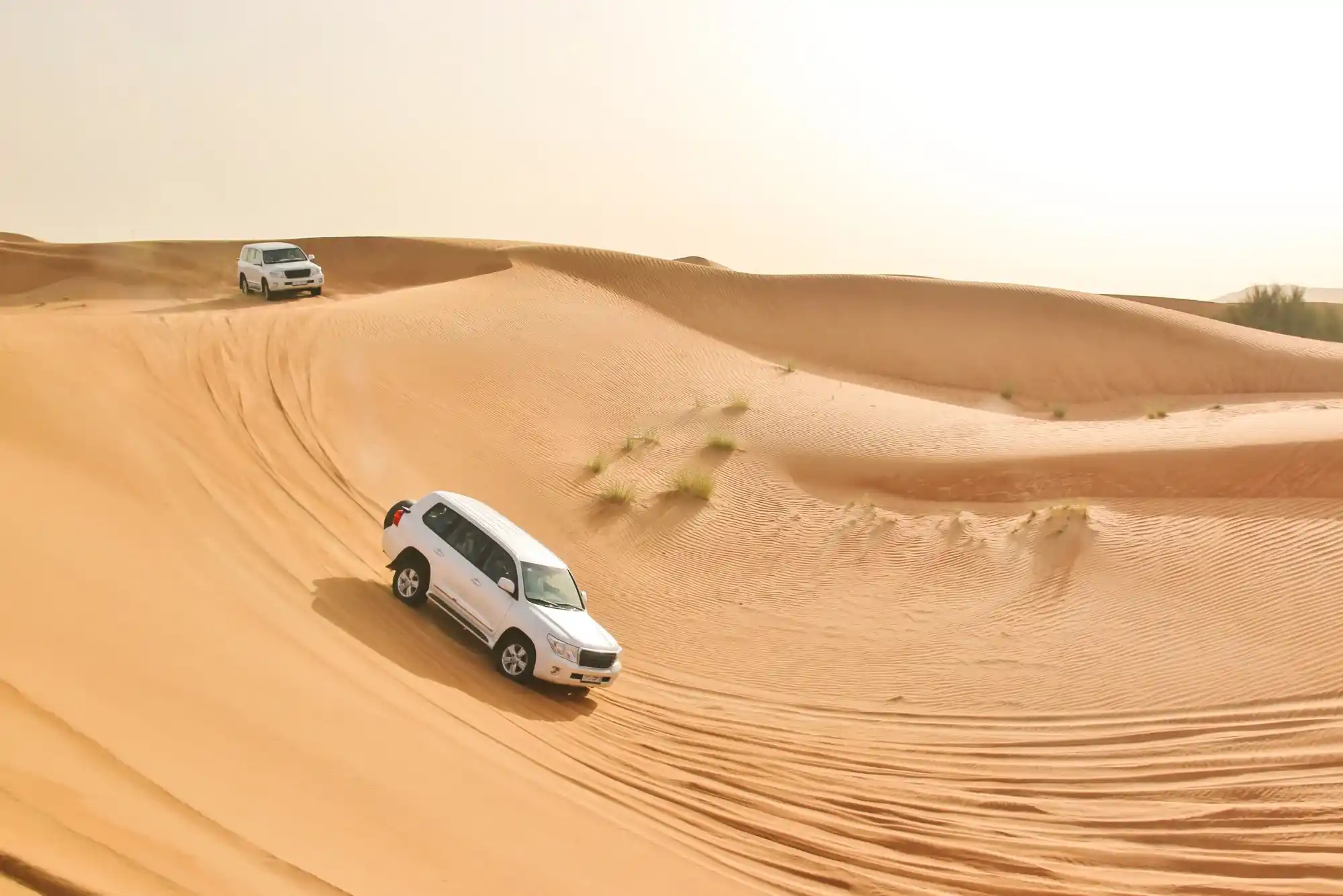 Top VIP Desert Safari Tours in Dubai